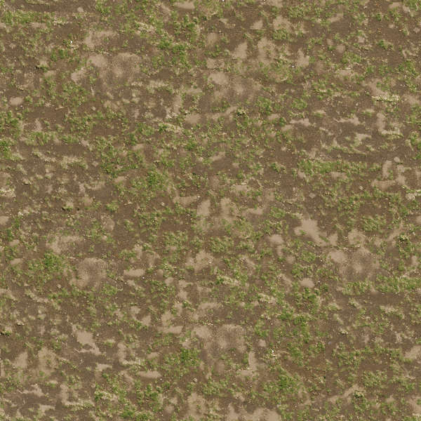 Grass0140 - Free Background Texture - aerial grass short patchy sand