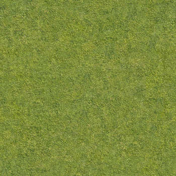 Grass Texture Seamless Hd