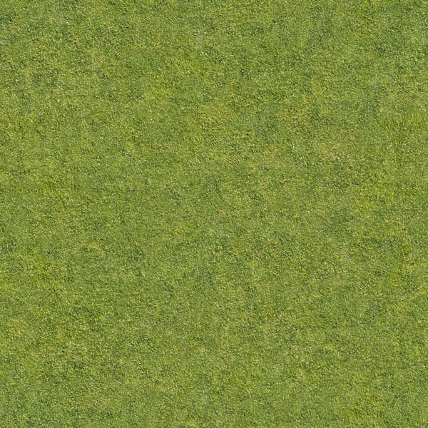 Grass0138 - Free Background Texture - aerial grass short green