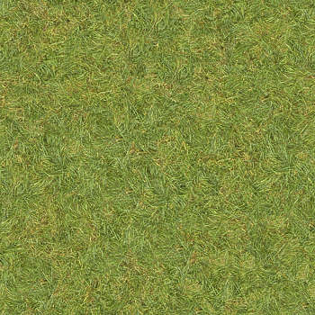 dirt and grass texture