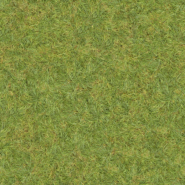 Grass0130 - Free Background Texture - grass short green seamless ...