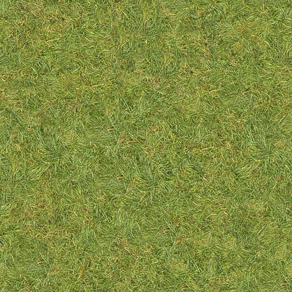 Grass0130 - Free Background Texture - grass short green seamless