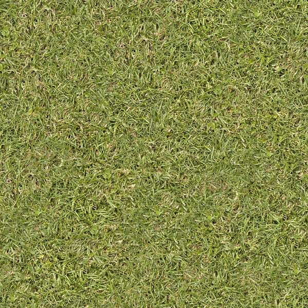 Grass0126 - Free Background Texture - grass green seamless seamless-x