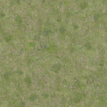 Grass & Lawn Texture: Background Images & Pictures