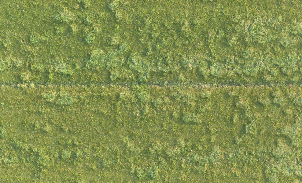 Grass0198 - Free Background Texture - aerial field grass ground terrain