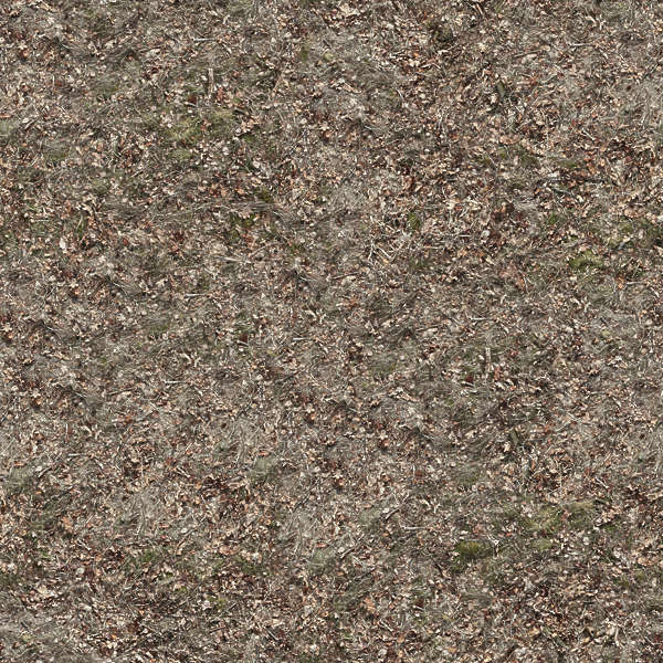 wood floor v tiles | 324 x 599 wood floor v tiles | 324 x 599