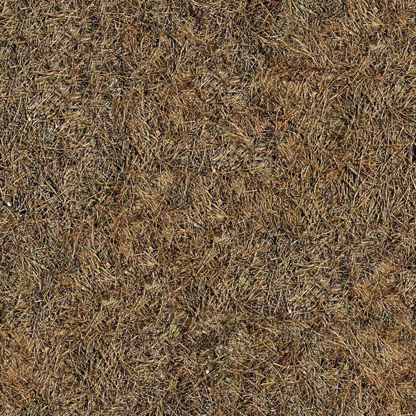wood ground floor texture | 600 x 600 wood ground floor texture | 600 x 600