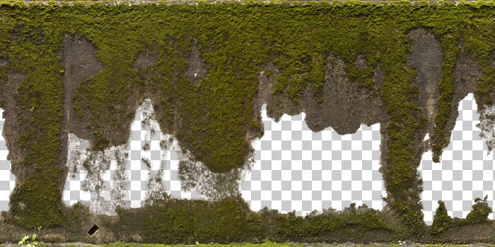 Moss Texture Seamless