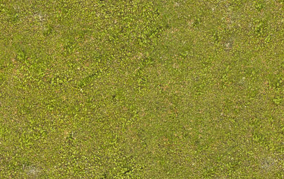 Moss Mossy Texture Background Images Pictures