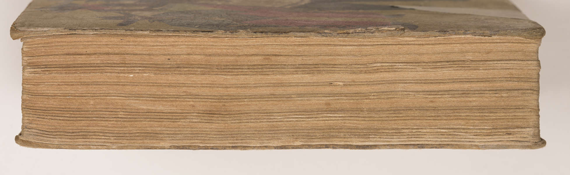 Книги с рисунком на срезе