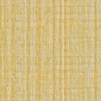 papyrus reed clipart papyrus reed clipart