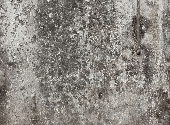 Zombie texture. Plaster Dirt. Текстура зомби маленькая.