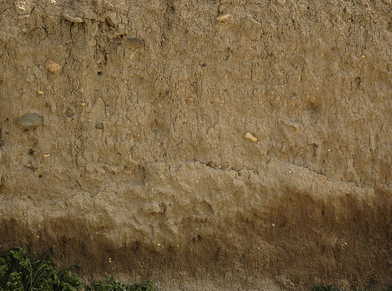 LoamWalls0017 Free Background Texture Loam wall medieval sand