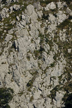 Search - cliff Search - cliff