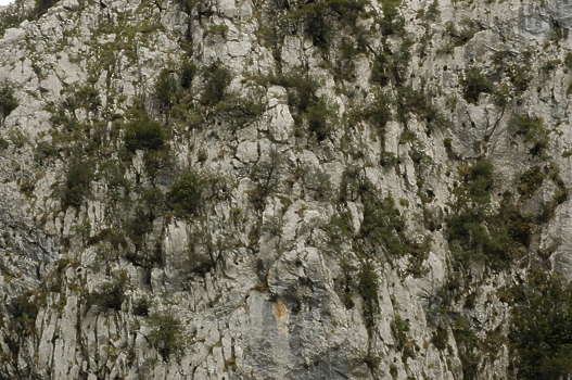 Search - cliff Search - cliff