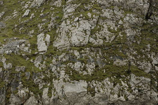 Search - cliff Search - cliff