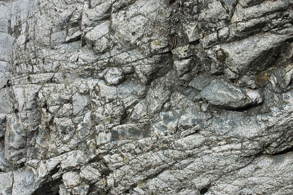 RockRough0056 - Free Background Texture - stone rock layered light gray ...