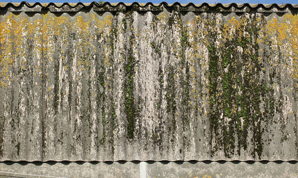 Asbestos Roof Texture