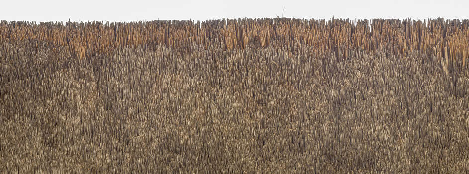 Thatched Roof Texture