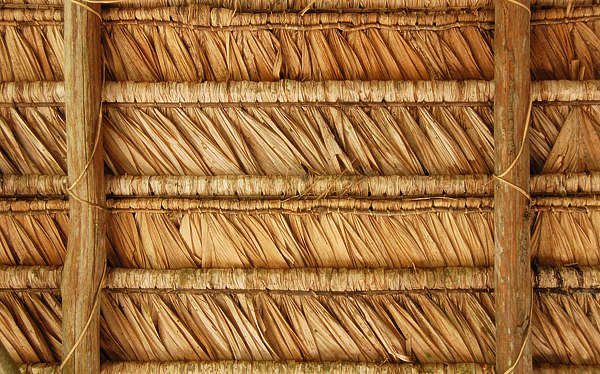 Thatched0046 - Free Background Texture - roof roofing tropical hut