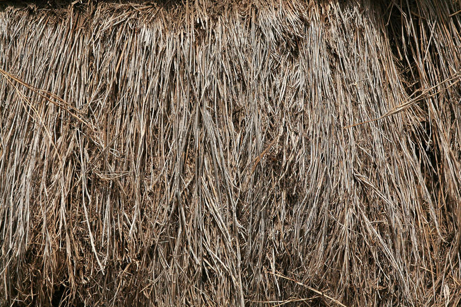 фс 22 стог сена соломы. соломенная крыша текстура. скирда сноп. числа множественное число или единственное. трава сено.