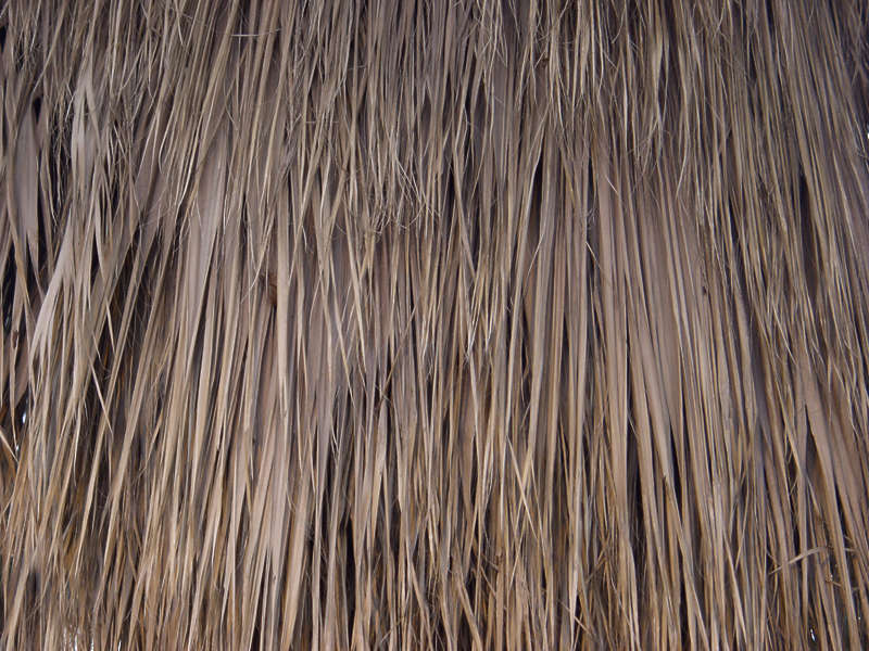 Thatched0013 - Free Background Texture - thatched roof roofing reeds brown beige
