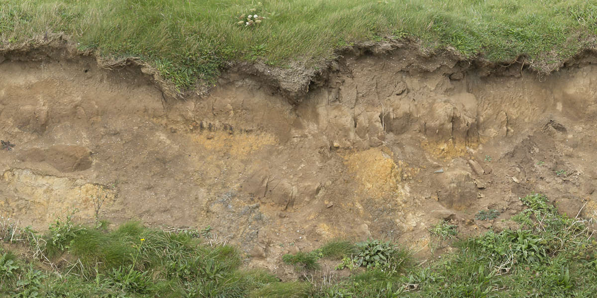 SoilCliff0002 - Free Background Texture - earth cliff UK beige