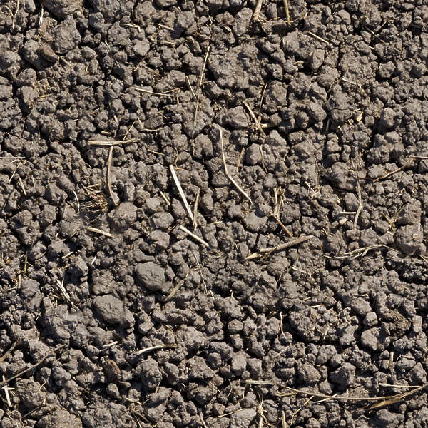 Texture loader. Load texture.
