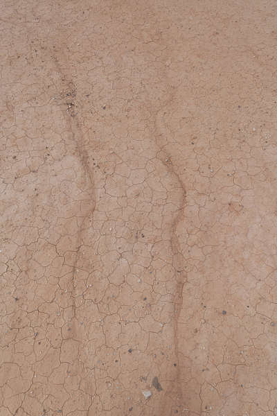 beige tracks