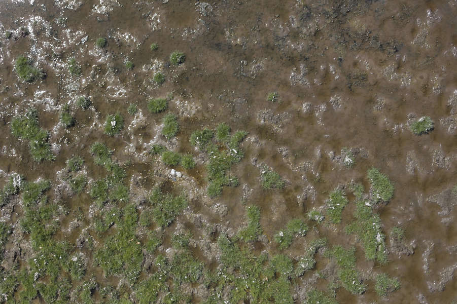 SoilMud0082 - Free Background Texture - aerial grass wet mud muddy