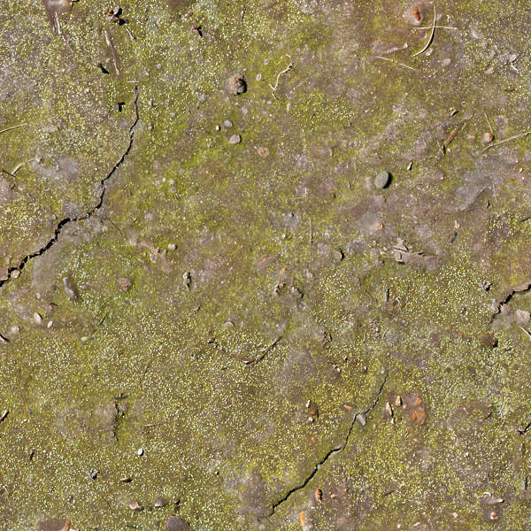 Soilmud0065 Free Background Texture Mud Soil Earth
