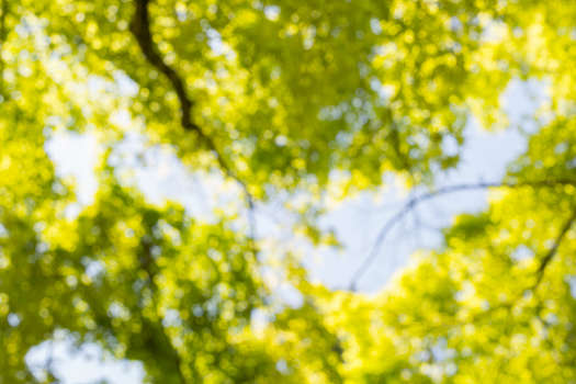 Download 85 Background Hd Natural Gratis Terbaik