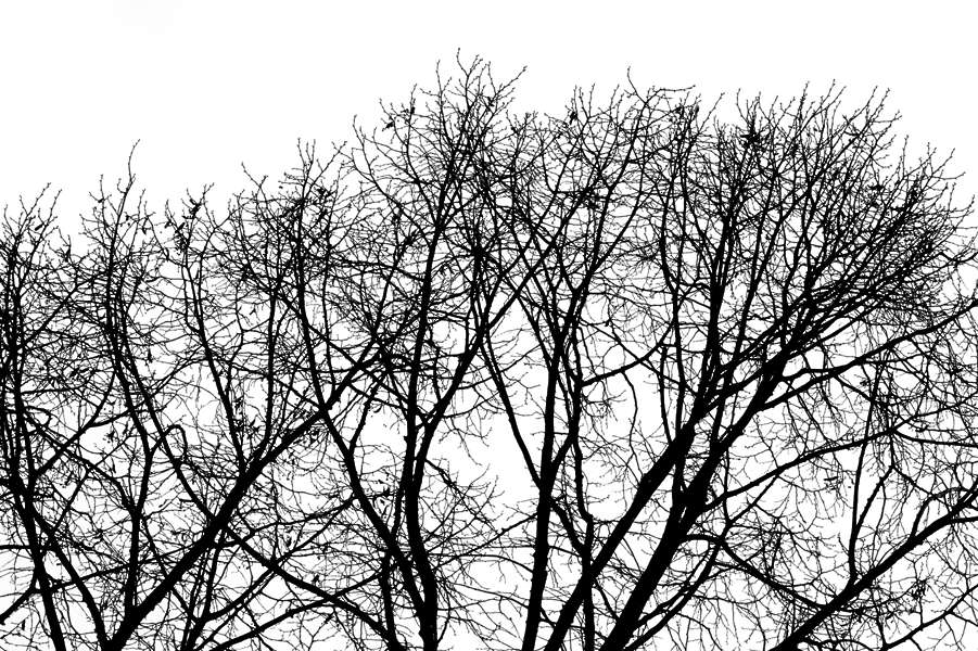 Gobos0083 - Free Background Texture - grunge grungemap gobo black white