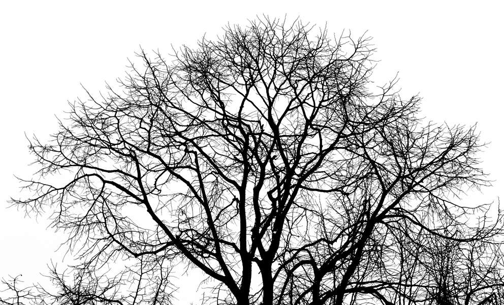 Gobos0087 Free Background Texture grunge grungemap gobo black white