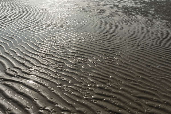 AbstractVarious0022 - Free Background Texture - beach sand soil ...