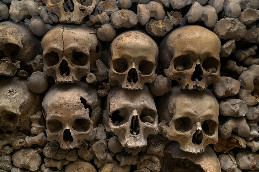 Bones0097 - Free Background Texture - bones skull skeleton human crypt