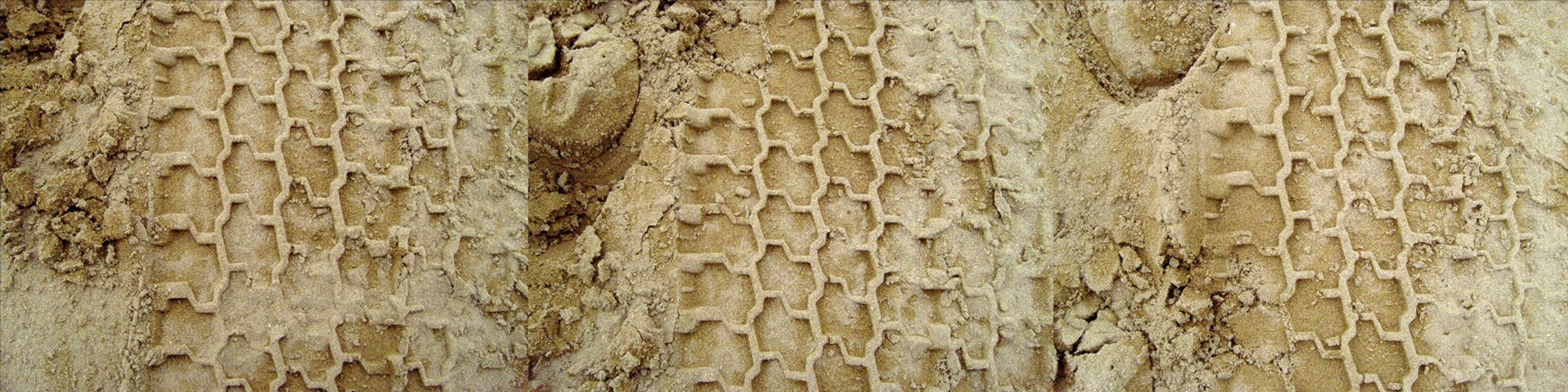 beige tracks