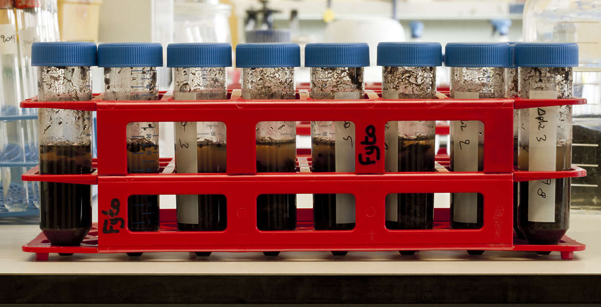 Various0309 Free Background Texture lab laboratory vial vials stand