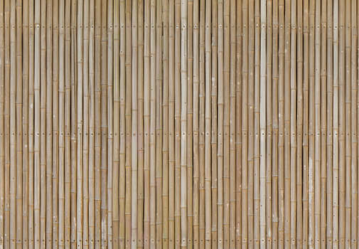 Bamboo Textures – MasterBundles