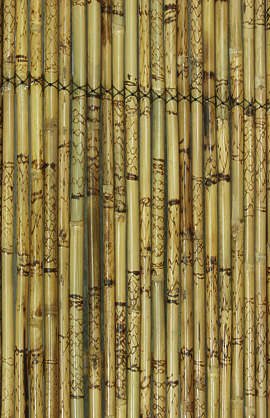 WoodBamboo0004 - Free Background Texture - wood bamboo yellow
