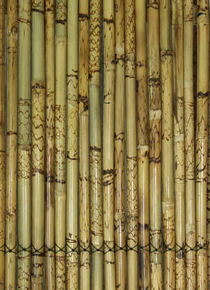 WoodBamboo0004 - Free Background Texture - wood bamboo yellow
