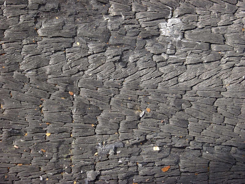 WoodBurned0031 Free Background Texture wood burned closeup black