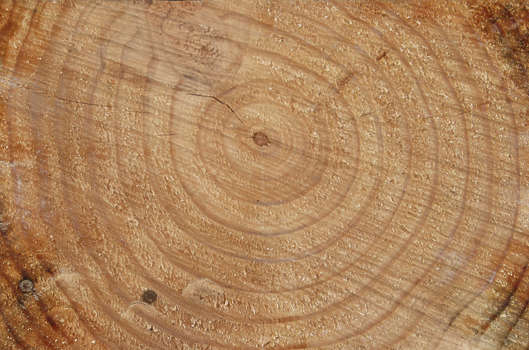Log end discount