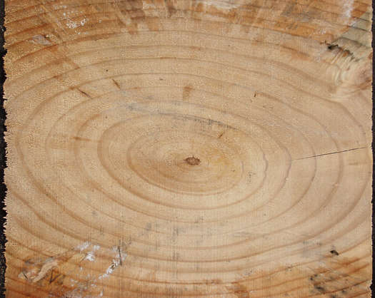 texture tiles ground Texture beam WoodEnds0022 end Free wood Background texture tiles ground Texture beam WoodEnds0022 end Free wood Background