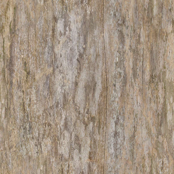 wood tree bare bark texture stripped textures smooth seamless dirty navigation