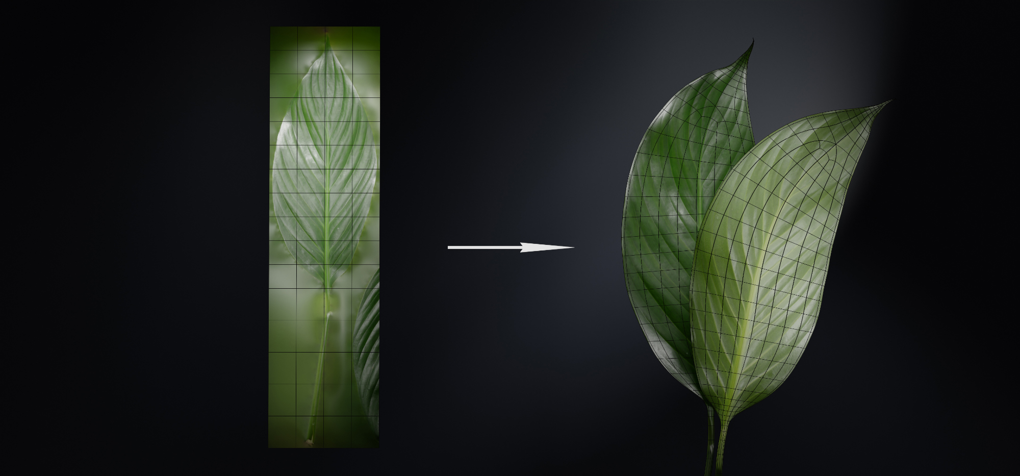 Setem Texture Flower Stem Texture Flower Stem PBR Texture A23D